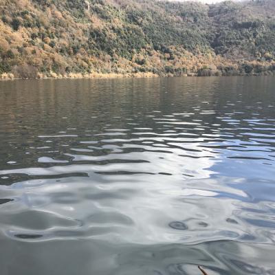 lake Albano 27 January