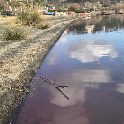 ioritura A Riva 4albano27january