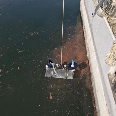 Lake Albano Water sampling 